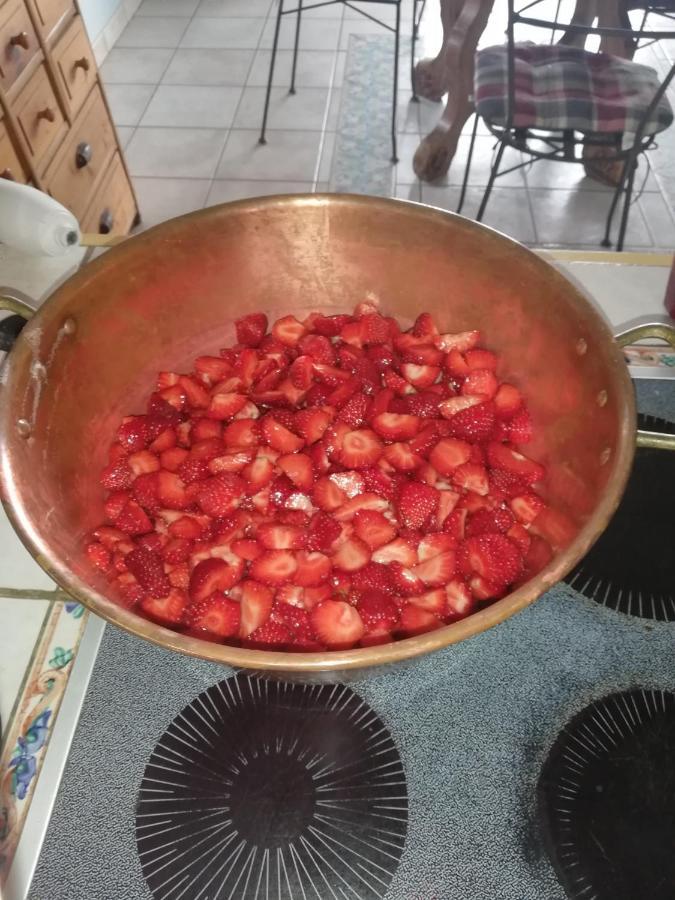 Les Haies Vives Choisy 외부 사진